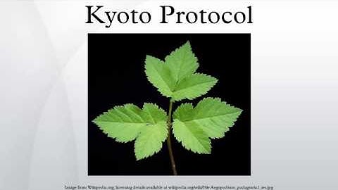 Kyoto Protocol