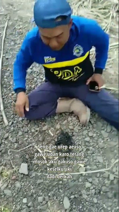 story pawang hujan #dcmusic #gokil #lucu