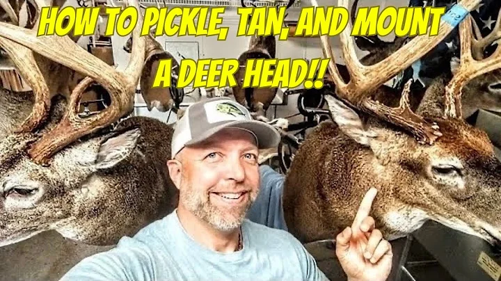 How to Mount a Deer Head **Super Easy** Whitetail Taxidermy!