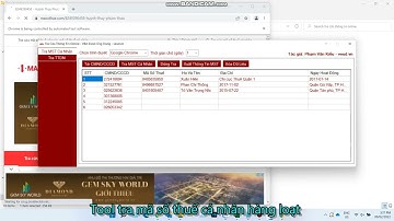 Tool tra và lấy mã số thuế cá nhân hàng loạt  | IT Văn Phòng