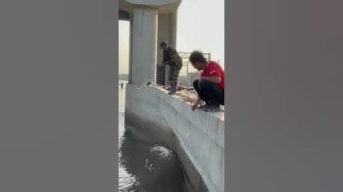 không mang cần câu thì kéo tay. pacu fishing byTư Râu Quận 4