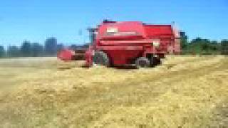 moisson 2008 avec MB massey fergusson 38