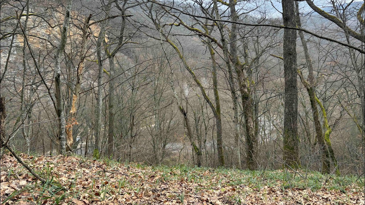 Bükk - Felsőtárkány 2026.02.01.