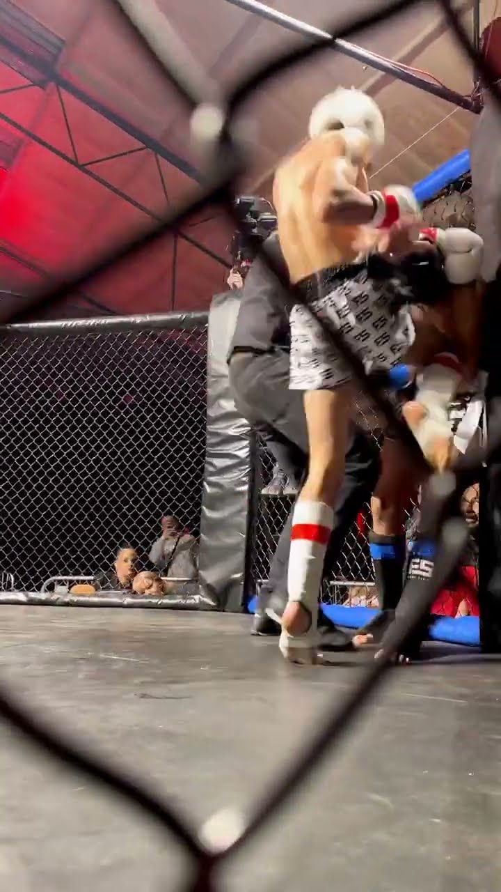 Explosive Fights, Epic Finishes, Fight Series Promotion never disappoints