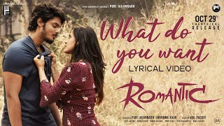 What Do You Want Lyrical Song | Romantic | Akash Puri, Ketika Sharma | Puri Jagannadh | Charmme Kaur Image