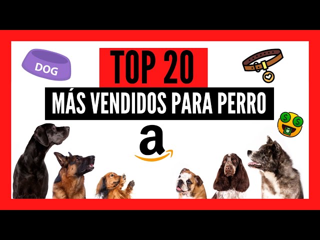 Los 5 accesorios de perros más vendidos