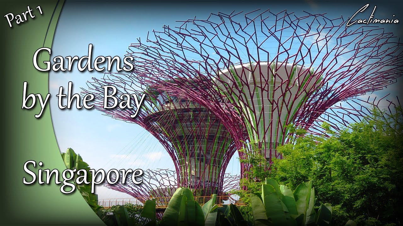 Visit to Gardens by the Bay | Singapore Botanical Garden | Cactus