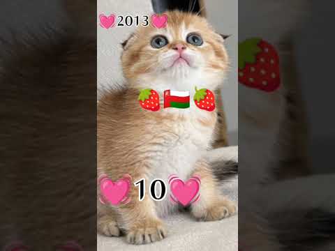 هذاشكلي بدون مبالغه