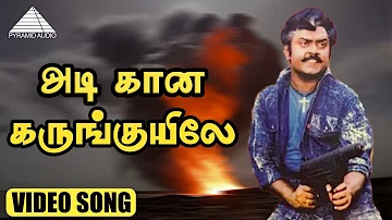 அடி கான கருங்குயிலே HD Video Song | Poonthotta Kaavalkaaran | Vijayakanth | Ilaiyaraaja