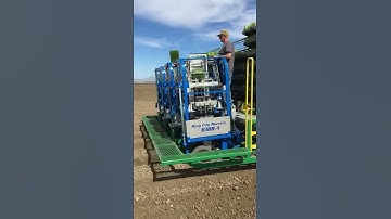 Automatic Transplanter row space from 75cm (30 inch) Output average up to 5000 plants per hour.