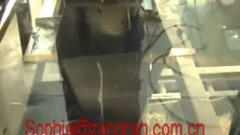 Bean sprout packing machine