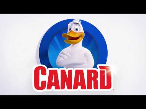 Vidéo Voix du Canard