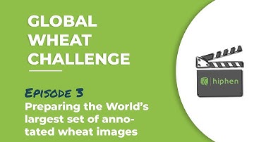 Global Wheat, Episode 3: Preparing the World