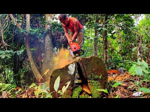 Penemuan Langka!! kayu ulin tumbang ratusan tahun dan penuh sejarah...!!