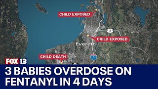 3 children overdose on fentanyl in Everett, one dies | FOX 13 Seattle
