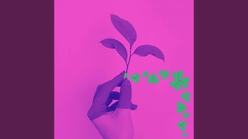 Bubbly Moods for Chilly Afternoon