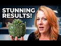Wendy Creates Home Decor Leaf Pots Using Aquacast And Epoxy