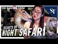 What’s in the Singapore Night Safari? | The Backend Show | ST