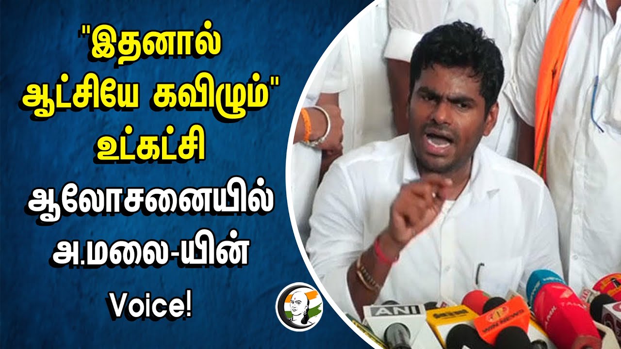 "இதனால் ஆட்சியே கவிழும்" உட்கட்சி ஆலோசனையில் அ.மலை-யின் Voice! | Annamalai | BJP