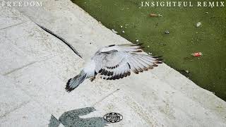 Celebrity FARR - Freedom (Insightful Remix) Wealth