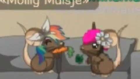 transformice nl nadirrooff en knabbelpower