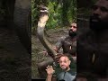 Cobra-rei com Mike Holston EPISÓDIO 01 @therealtarzann #biologohenrique #animais