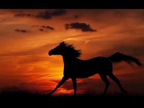 نشيد صمودا انشاد ابو أسيد