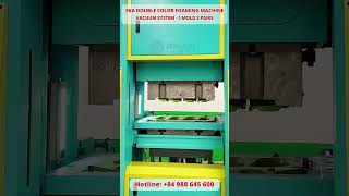 Producing 2 Pairs Of Flip-Flops At Once