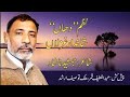 Sariky poetry/Jamshid nashaad/New Sariky poetry 2023/Official video