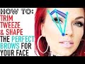 HOW TO GET PERFECT BROWS: How to Tweeze, Trim & Shape Your Eyebrows: 2 Methods