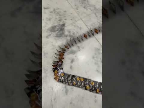 #viral #domino #king