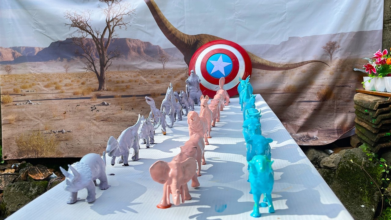 Cleaning animals cows, ducks, geese, chickens, elephants, lions, deer, cats,tigers,gorillas, panda,