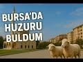 Modern Dünyadan Uzakta Cami Çay Ve Sessizlik 2