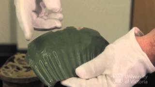 HA 348: Introduction to Islamic Archaeology