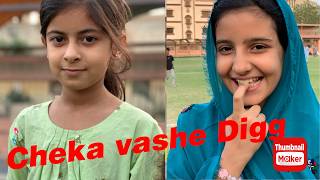 Sak vashe Digg saje hore aik jaga e