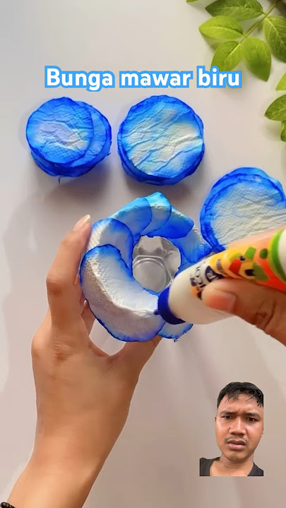 Bunga mawar biru #bunga #bungabiru #mawar