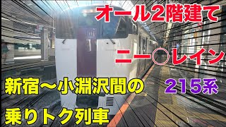 【215系】ホリデー快速ビューやまなしに乗ってきた