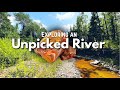 Rockhounding an Unpicked River | Finding Lake Superior Agates, Amethyst, Jasper & Other Minerals