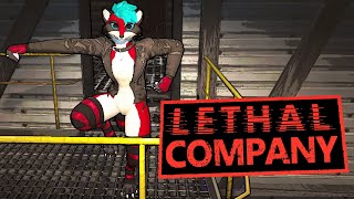 Бутылка или Друг?  ✅ Lethal Company