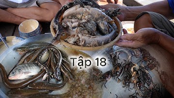 cuộc sống " Săn B.ắt Mùa Nước Nổi " năm 2025 - Tập 18 | Gấc Quê