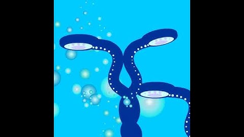 Going Deep: Week 2 of Flash Class