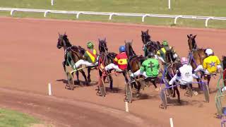 Vidéo de la course PMU PRIX ERMINIG D'OLIVERIE