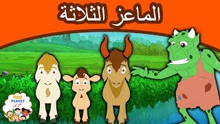 الماعز الثلاثة | قصص عربية | قصص اطفال جديدة 2019 | قصص اطفال قبل النوم | قصص عربيه