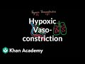 Understanding Hypoxic Vasoconstriction and Pulmonary Hypertension