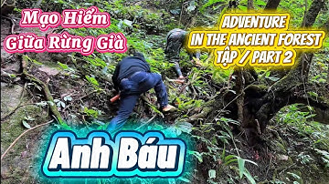 MẠO HIỂM GIỮA RỪNG GIÀ - Advanture in the Ancient Forest Tập 2 - KÝ SỰ số 6 #doanvanbau 