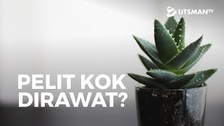 Kajian Islam - Pelit Kok Dirawat? - Ustadz Abdullah Zaen, Lc., M.A.