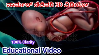 Normal delivery 3D video|Educational video|Aayushi RS screenshot 5