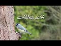 Whatsapp Islamic status. Hasbi-rabbi Whatsapp Status Video Download Free
