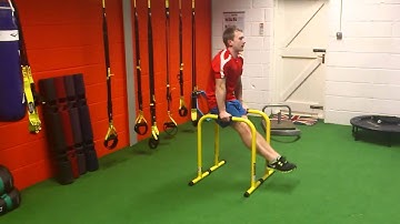 Lebert Fitness Equalizer Core Exercises