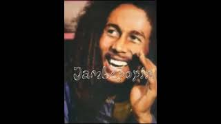 MJxBRUCELEExBOBMARLEY edit|Montagem domer #brucelee #michealjackson #bobmarley #edit